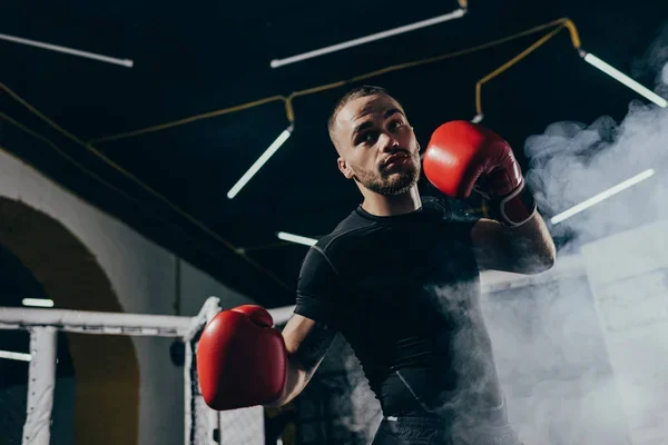 Boxeador entrenando para que evite las lesiones en los dientes
